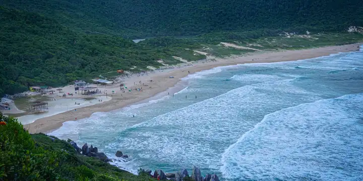 Praia cercada de floresta em Santa Catarina
